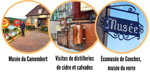 Activities in Normandy