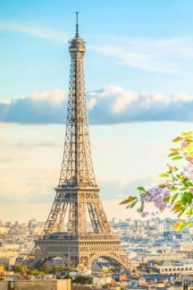 French immersion, stay Claude