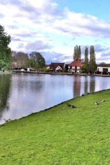 French immersion, stay Daisy