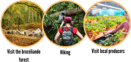 Activities in trinité-Surzur