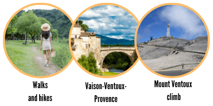 Activities in Vaison