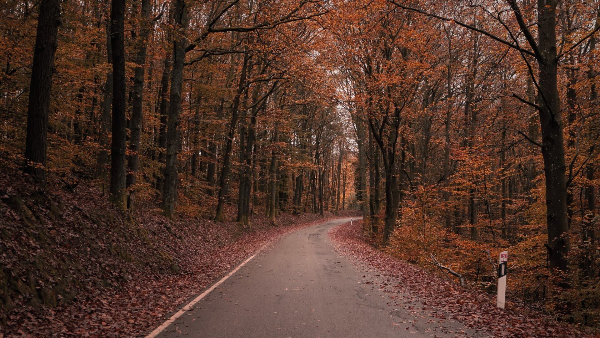What to do in France in autumn? What to do in France in autumn?