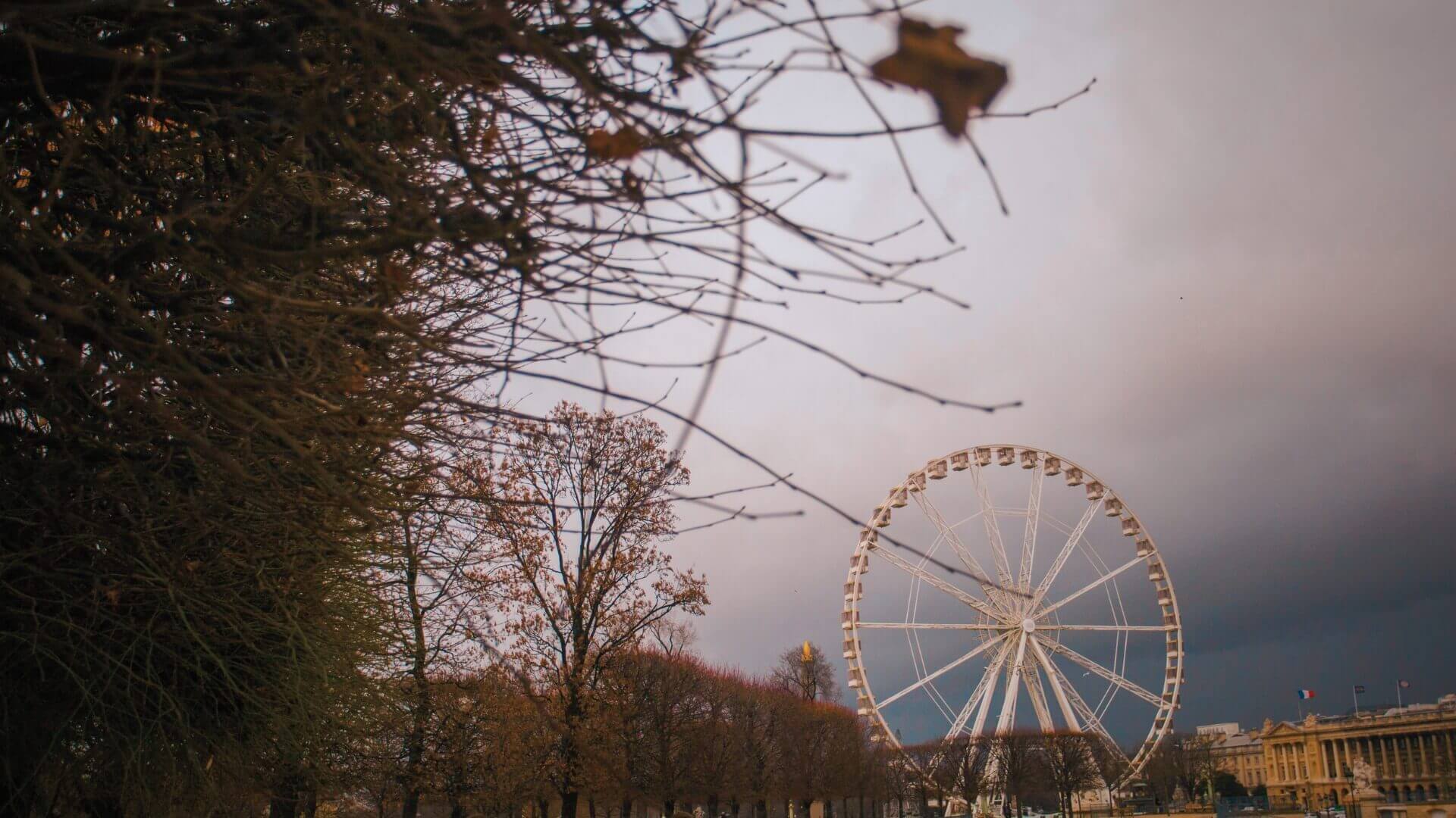 What to do in France in autumn? What to do in France in autumn?