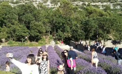 My Vacations in Provence: A Dream Comes True