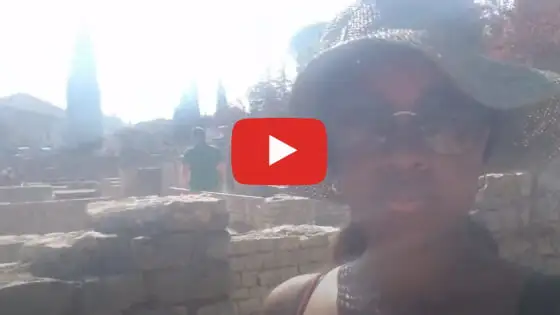 Immersion en Provence