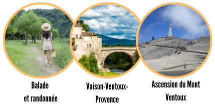 Activities in Vaison