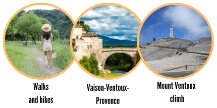 Activities in Vaison